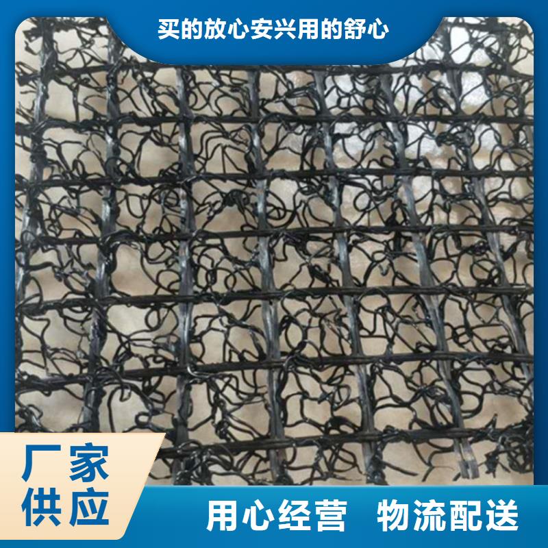 [北京]设备齐全支持定制鼎诺【水土保护毯】 HDPE土工膜品牌企业