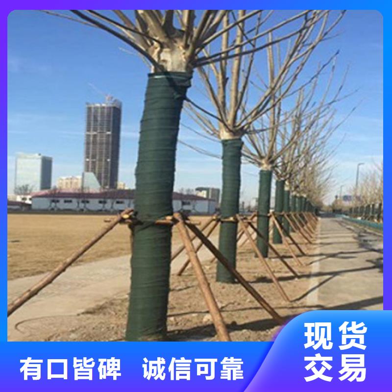 【裹树布】 防渗膜源头厂家供应-鼎诺土工材料(郴州市分公司)