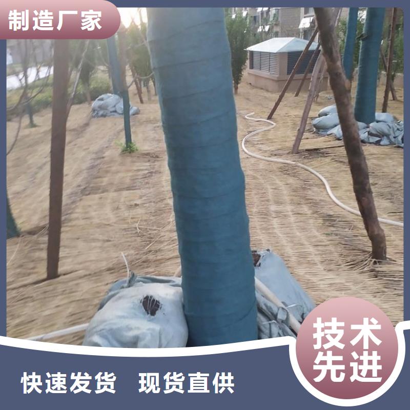 裹樹布三維植被網符合行業標準