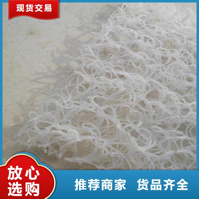土工席墊,雙向塑料土工格柵實體誠信經營