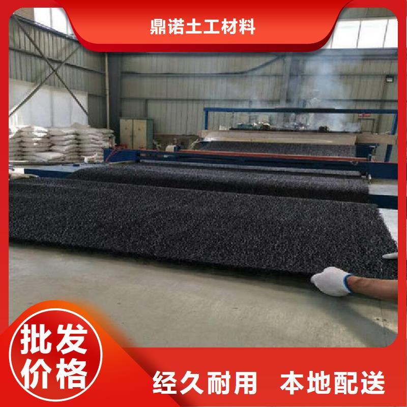 鼎诺防渗膜【土工席垫】,土工布重信誉厂家企业旺旺