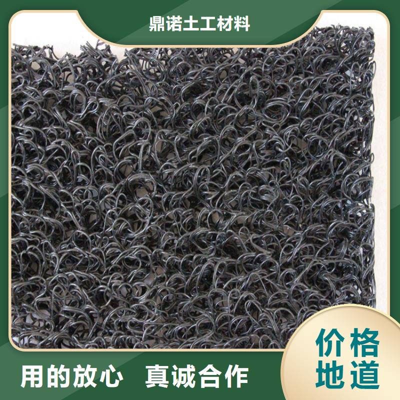 鼎诺防渗膜【土工席垫】,土工布重信誉厂家企业旺旺