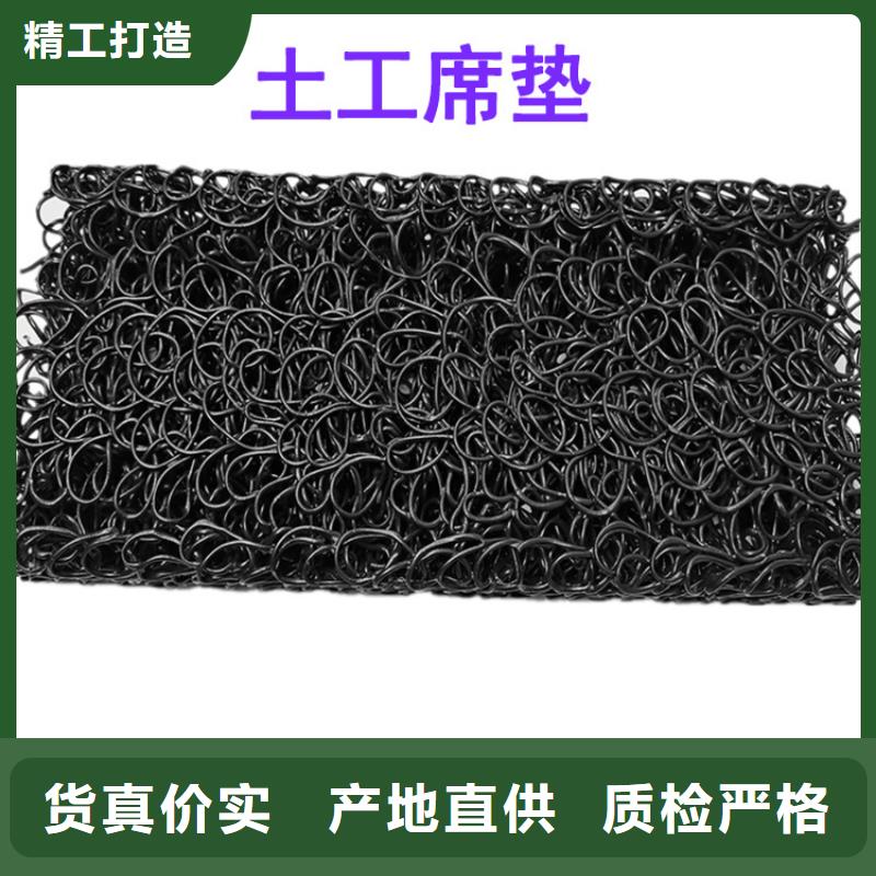土工席垫_双向塑料土工格栅一个起售