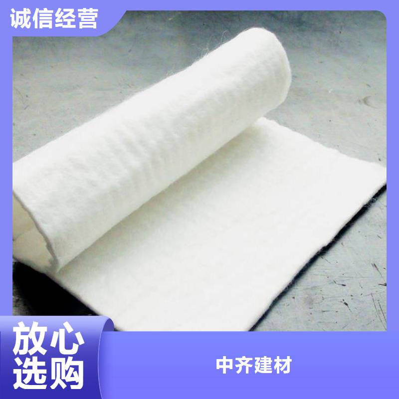 无纺土工布_一布一膜复合土工布