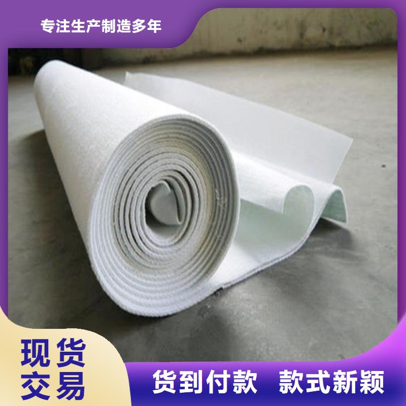 土工布-【膨润土防水毯】技术先进由中齐为您
