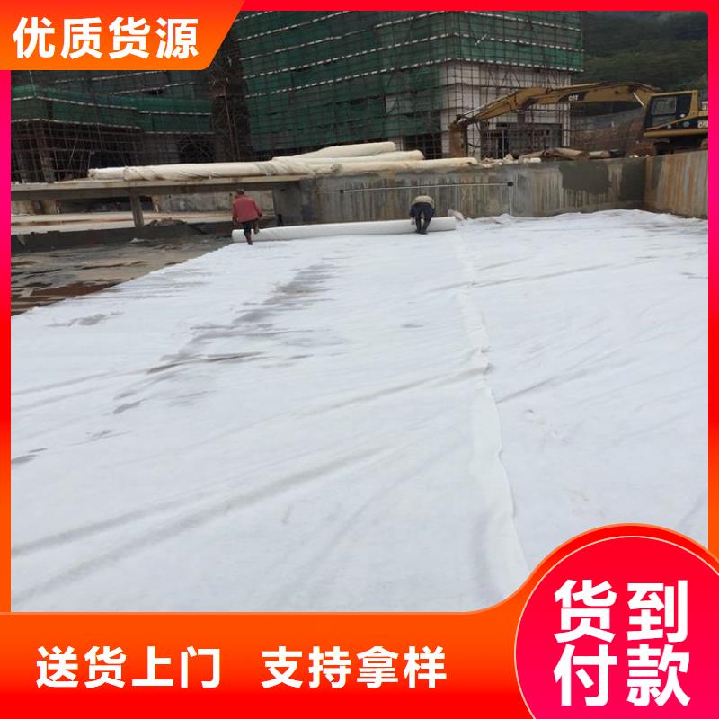 土工布-【膨润土防水毯】技术先进由中齐为您