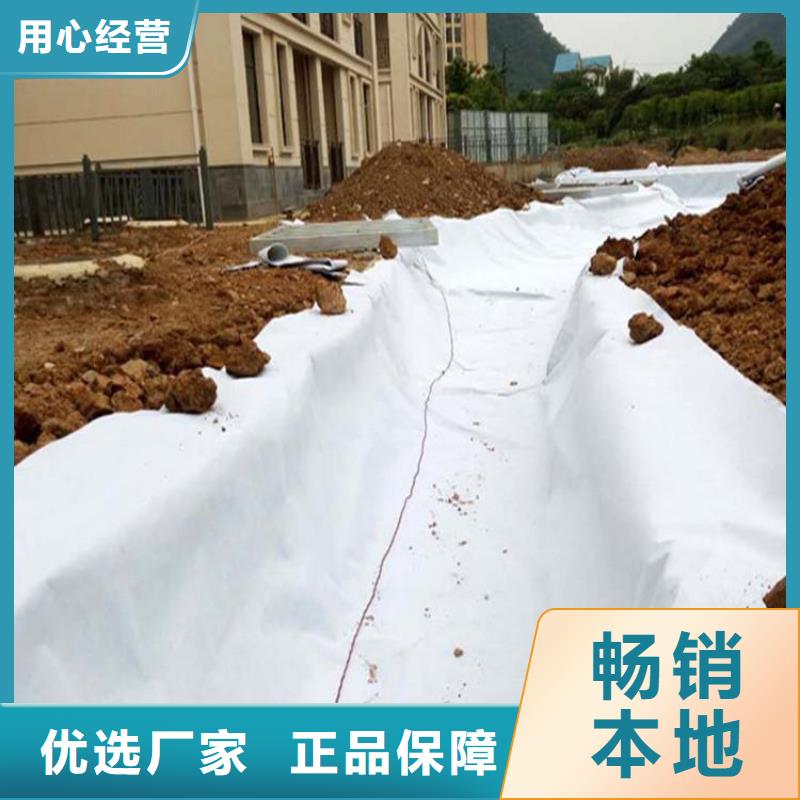 土工布-【双向土工格栅】源厂定制
