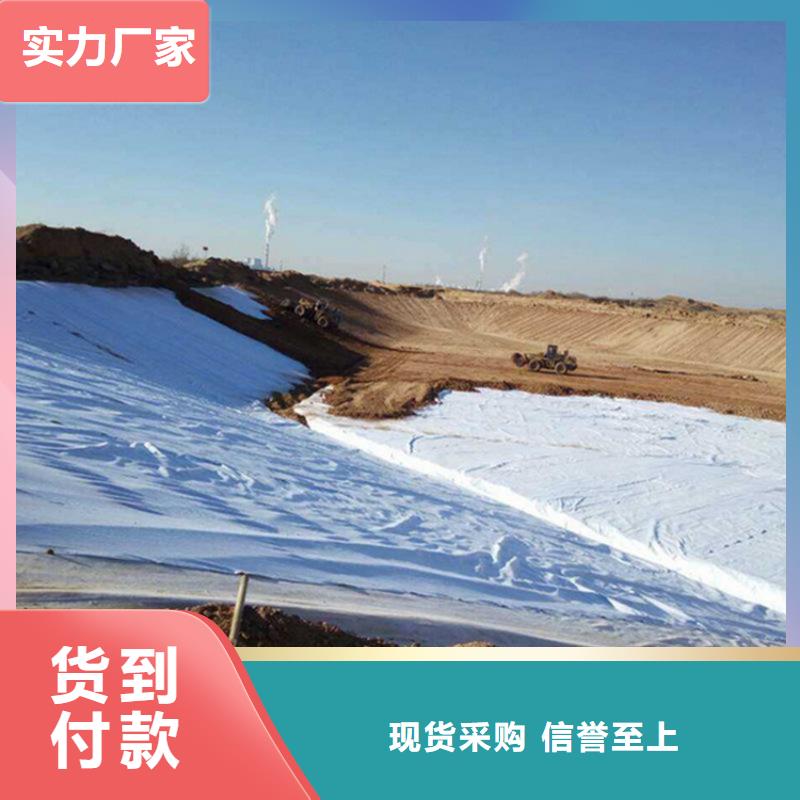 土工布,拉筋带厂家直销售后完善