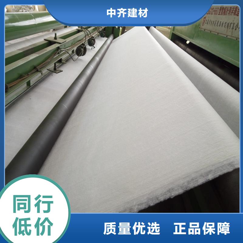 土工布-【膨润土防水毯】技术先进中齐防渗膜
