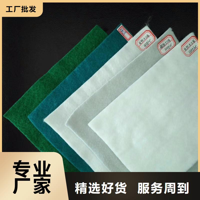 土工布_防滲膜出貨快