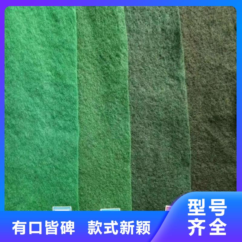 土工布-【膨润土防水毯】技术先进由中齐为您