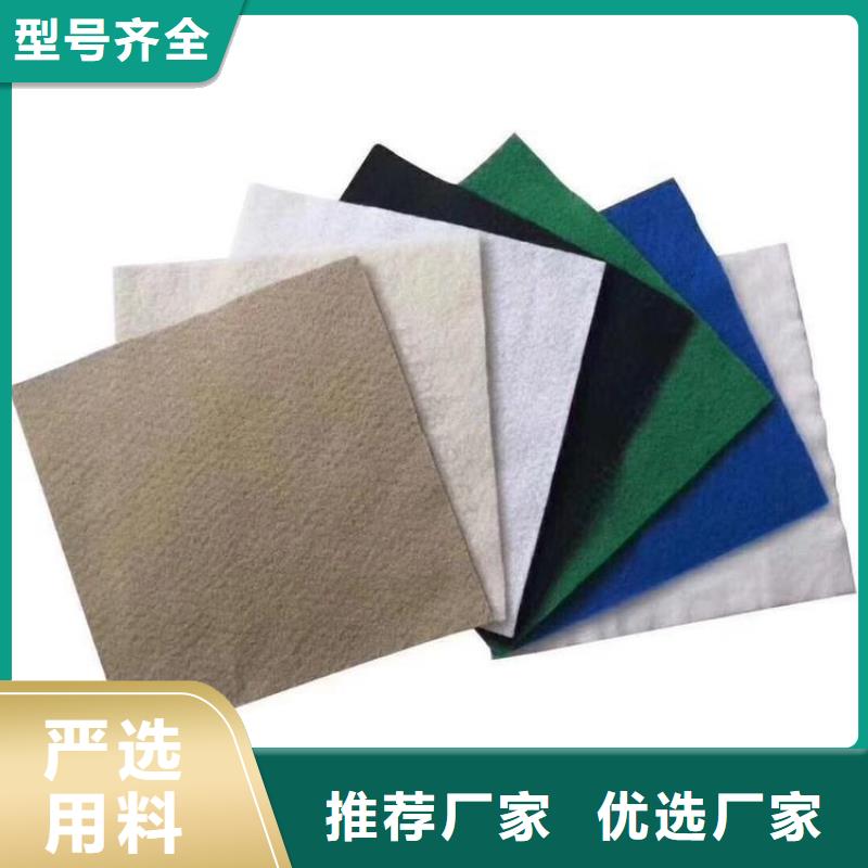 土工布-【膨润土防水毯】技术先进中齐防渗膜