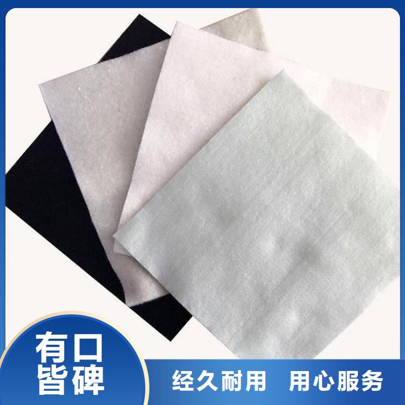 聚酯無紡土工布公司動態