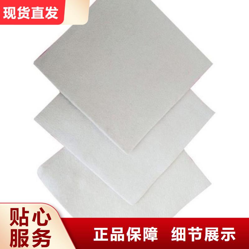 土工布-【膨润土防水毯】技术先进由中齐为您