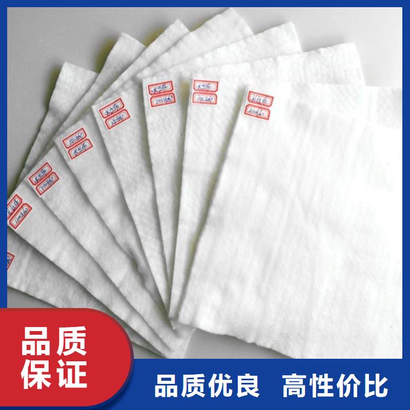 土工布-【膨润土防水毯】技术先进由中齐为您
