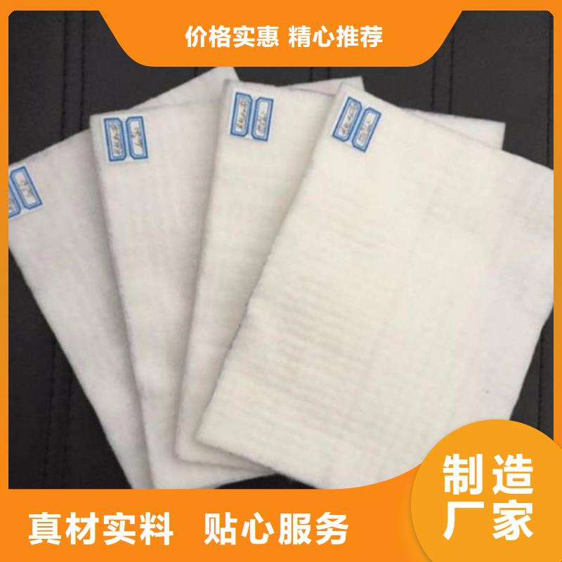 无纺土工布-公路养护土工布-长丝单面烧毛土工布