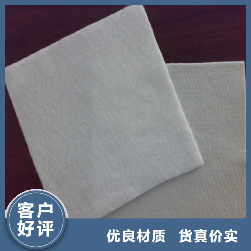 土工布_防滲膜出貨快
