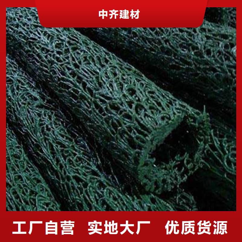 塑料盲溝-雙向土工格柵精心選材