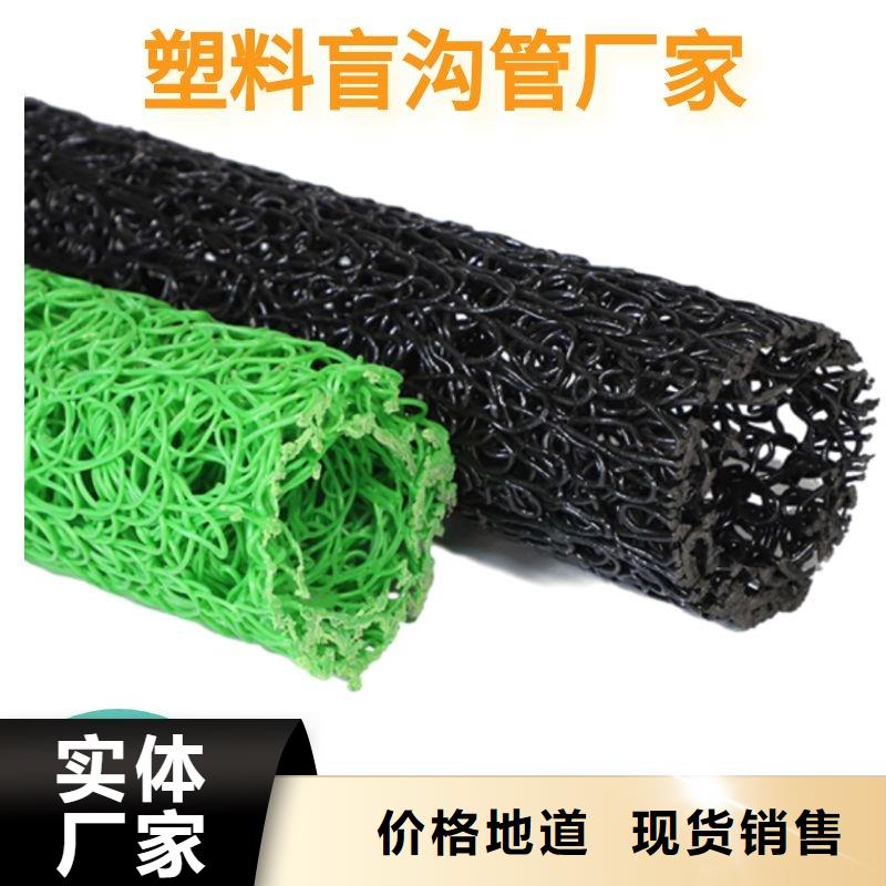 塑料盲沟土工格栅专业的生产厂家