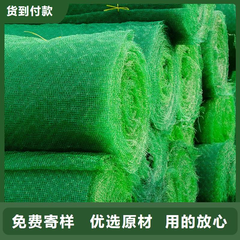 三維植被網止水帶多行業適用