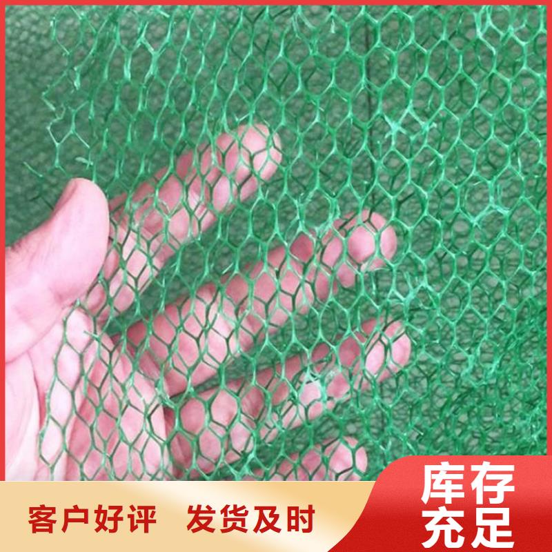 環(huán)保加筋三維固土網(wǎng)墊