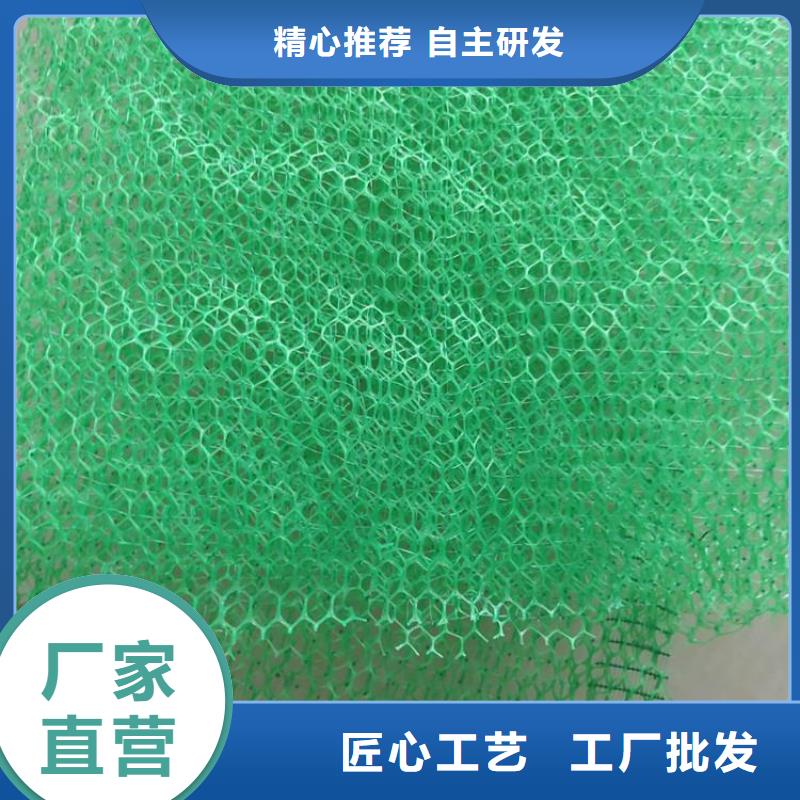 护坡绿化加筋护坡网垫