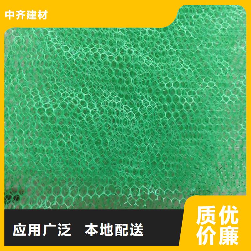 【三维植被网】 防渗膜实力商家供货稳定由中齐为您