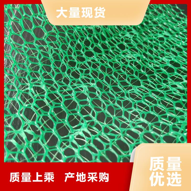 护坡加筋网垫-护坡三维植被网现货价格