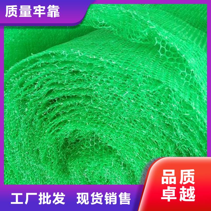 三维植被网双向土工格栅产地批发