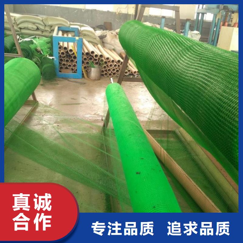 中齐【 三维植被网_钢塑格栅量少也做】-业务覆盖区域|明光|凤阳|马鞍山|六安|蚌埠|合肥|铜陵|巢湖-企业旺旺