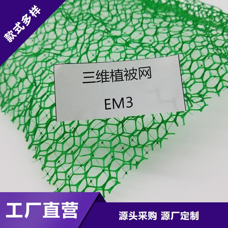 三维固土网垫解决方案