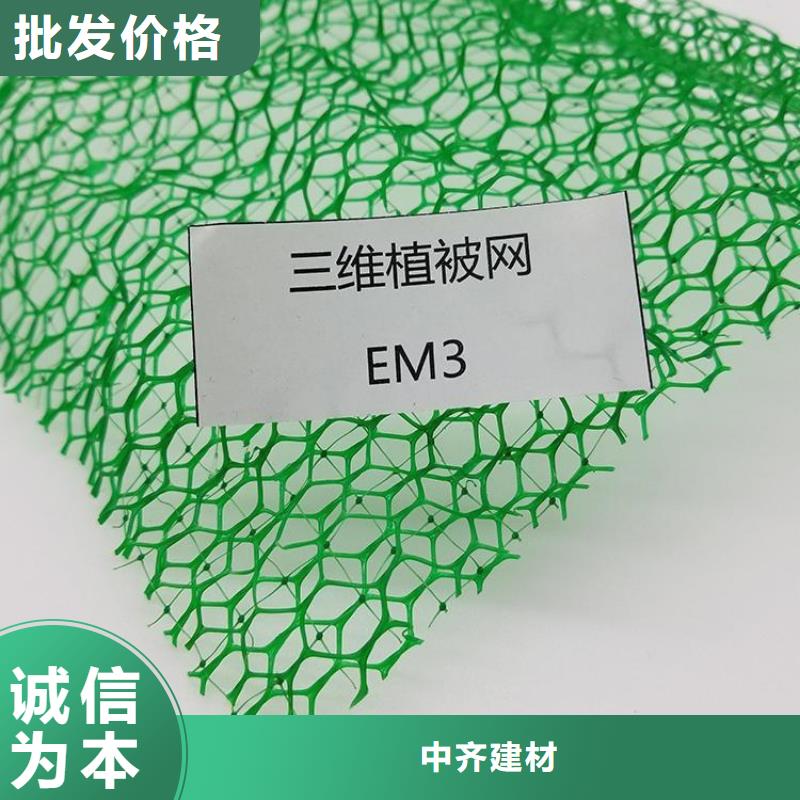 EM2EM3三维护坡植被网垫