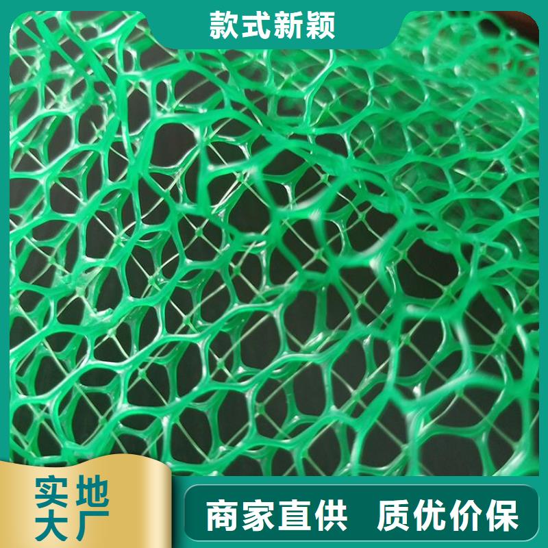【三维植被网】,塑料盲沟专业生产团队 中齐建材(遂宁市分公司)