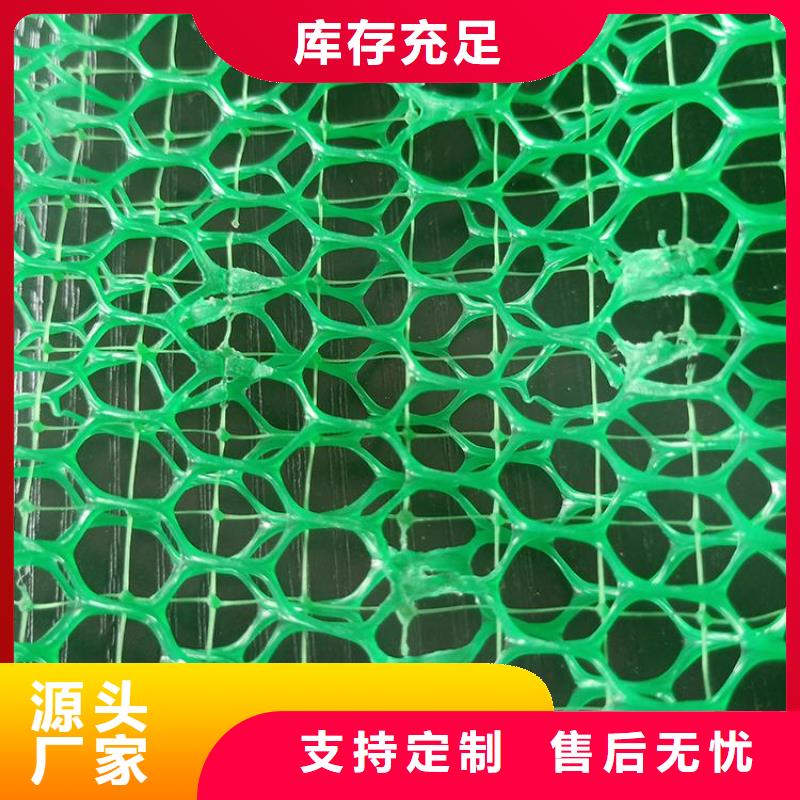 品类齐全【三维植被网】,塑料盲沟专业生产团队