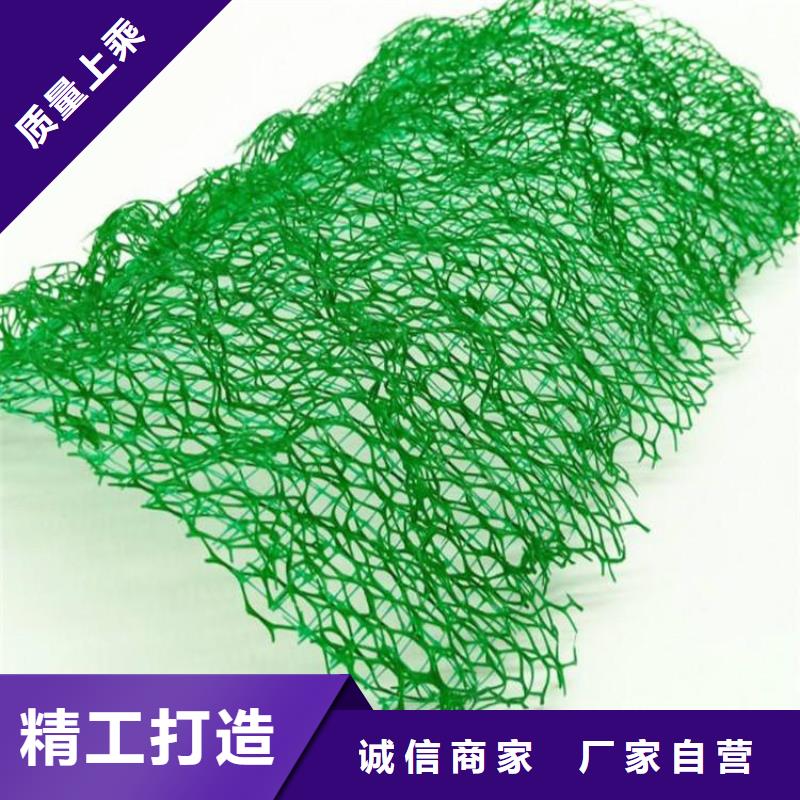 品类齐全【三维植被网】,塑料盲沟专业生产团队