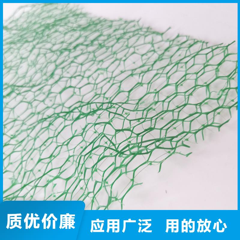 三维植被网土工膜专注产品质量与服务