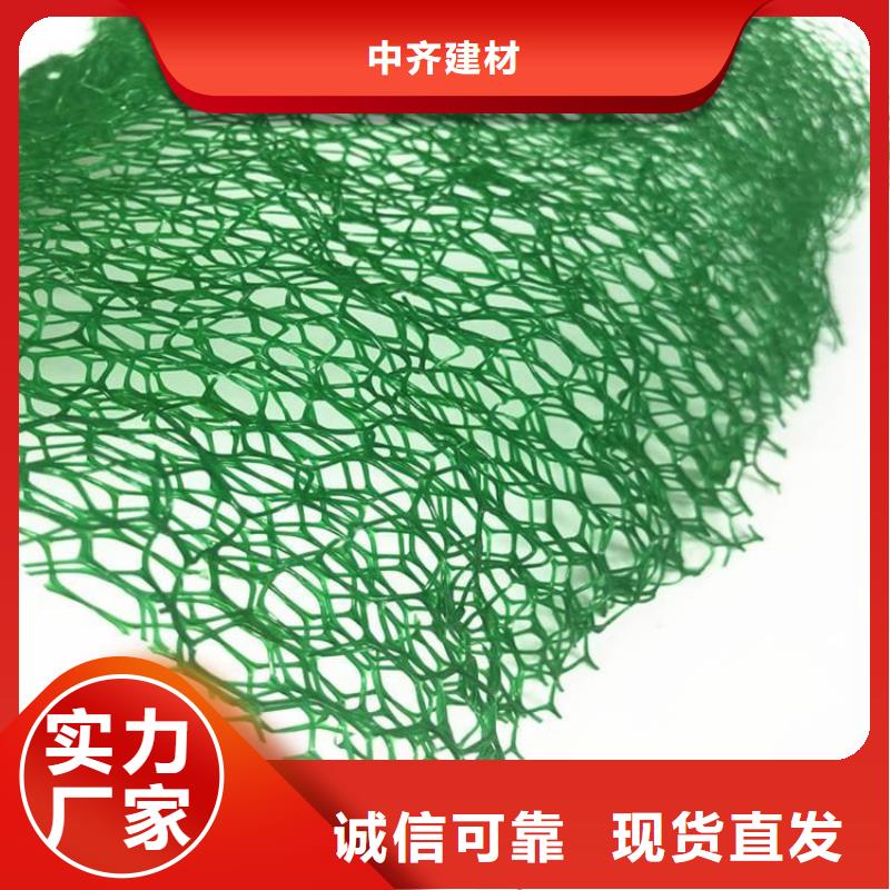 三维植被网植草格根据要求定制