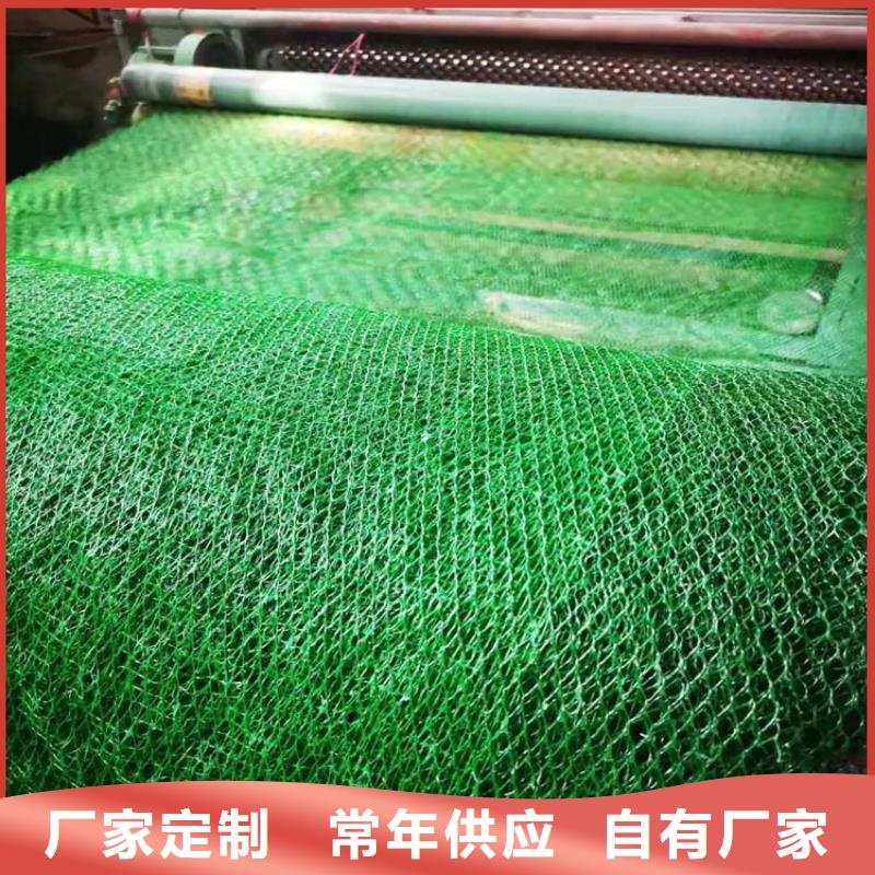 三維植被網止水帶多行業適用