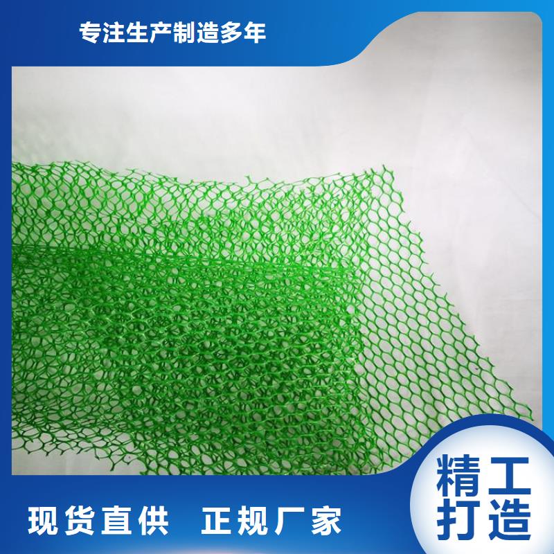 三维植草护坡网垫-绿色三维土工网垫厂家-欢迎您