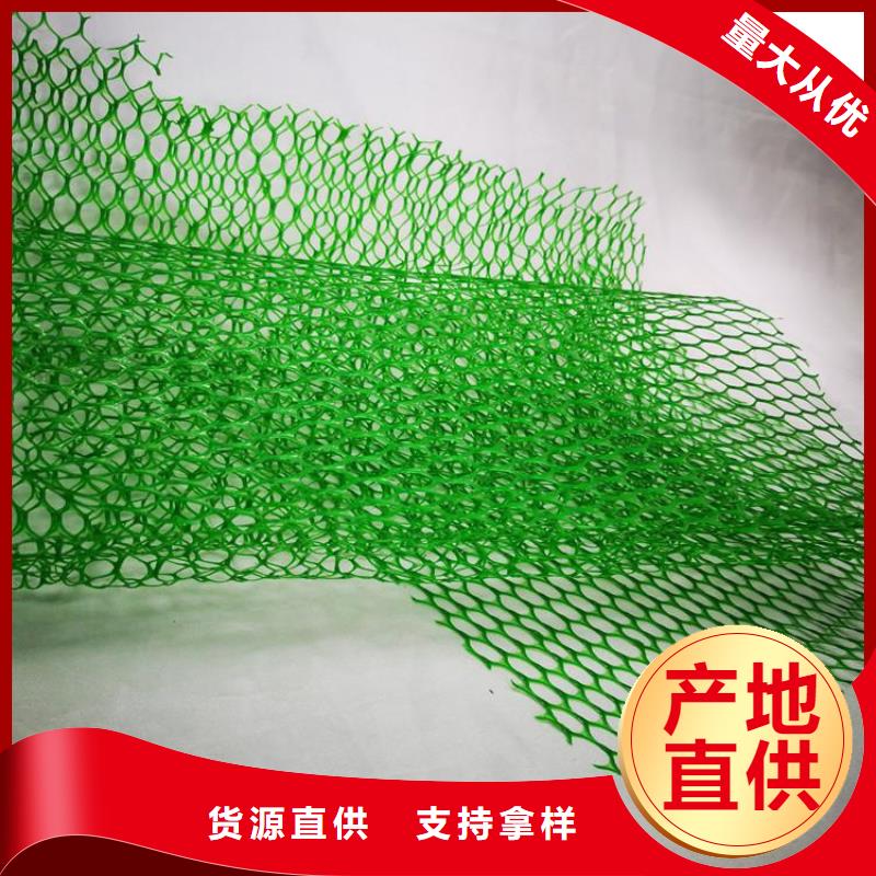 |大英|蓬溪|绵阳|甘孜|南充|成都|宜宾|资阳|广元中齐【三维植被网】,塑料盲沟专业生产团队