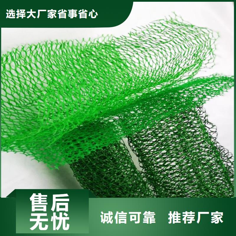 三维植被网【防裂贴】专注产品质量与服务