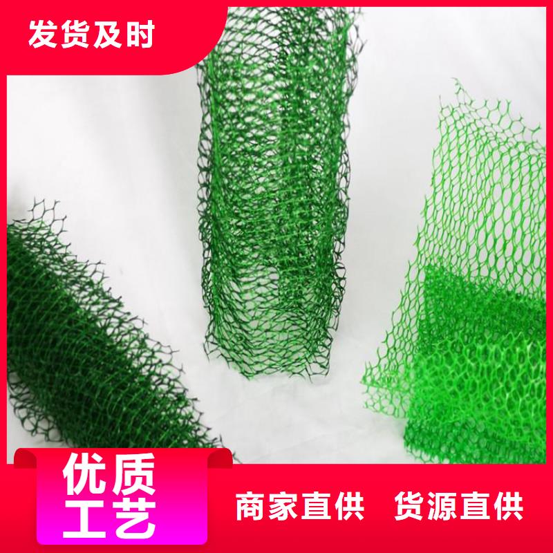 三维植被网植草格根据要求定制