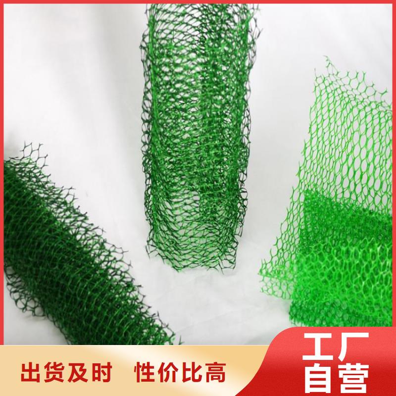 三维植被网软式透水管精益求精