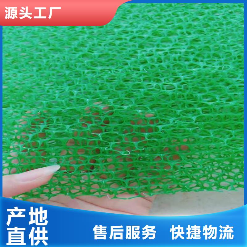 三维植被网土工膜专注产品质量与服务
