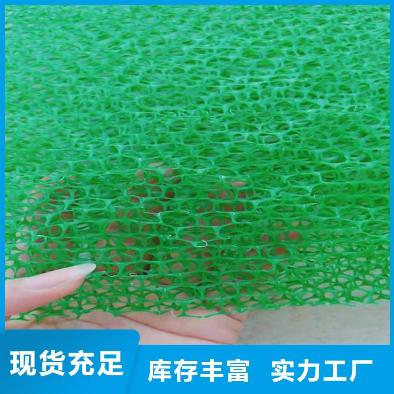 护坡加筋网垫-2层3层三维植被网