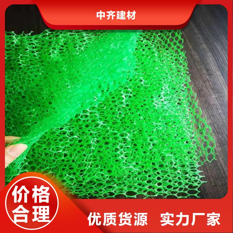 三维植被网软式透水管精益求精
