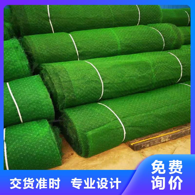 三维植被网植草格根据要求定制
