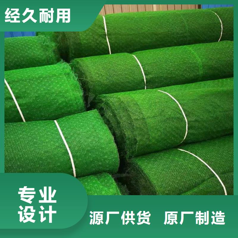 三维植被网止水带多行业适用