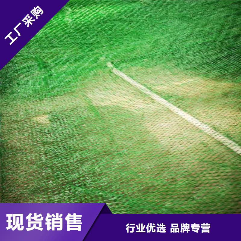 中齐【 三维植被网_钢塑格栅量少也做】-业务覆盖区域|明光|凤阳|马鞍山|六安|蚌埠|合肥|铜陵|巢湖-企业旺旺