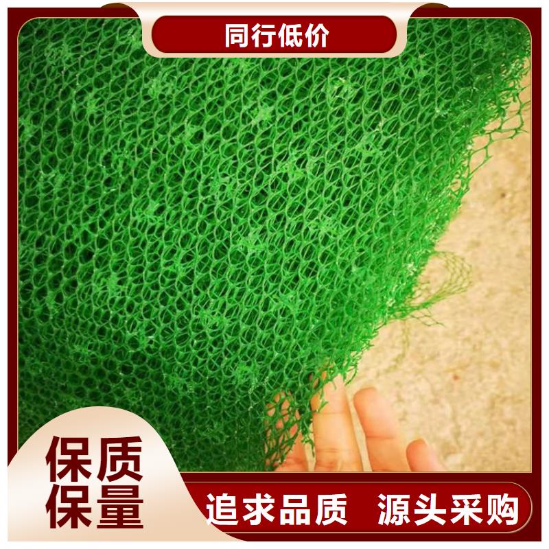 护坡加筋网垫-三维固土网垫